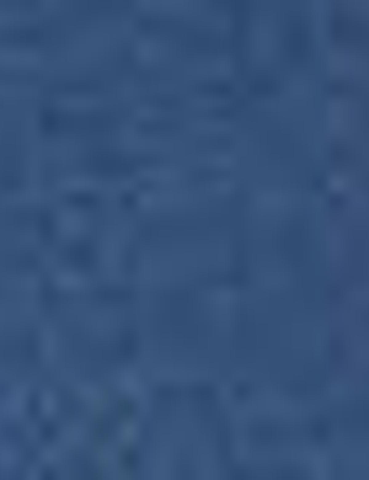 İndigo Regular Fit Polo Yaka Basic T-Shirt - 50204835054