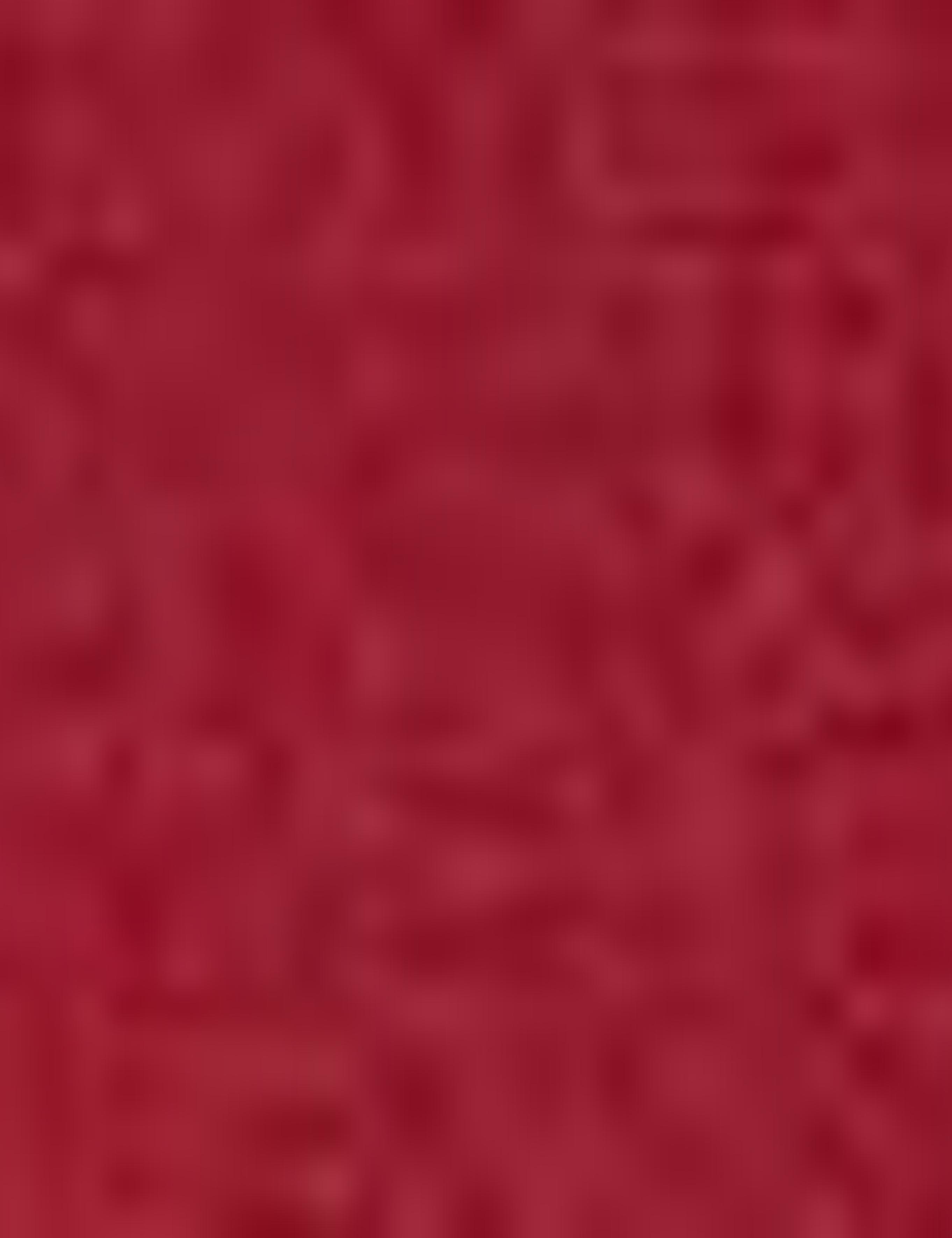 Kırmızı Regular Fit Polo Yaka Basic Tişört