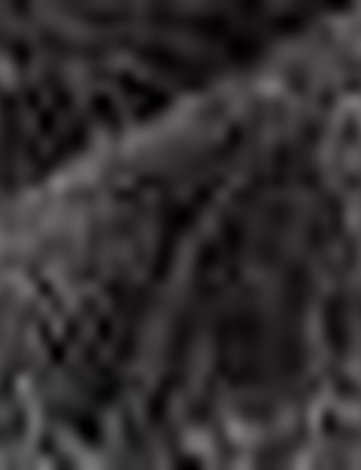 Gri Kaşkol - 50205340002