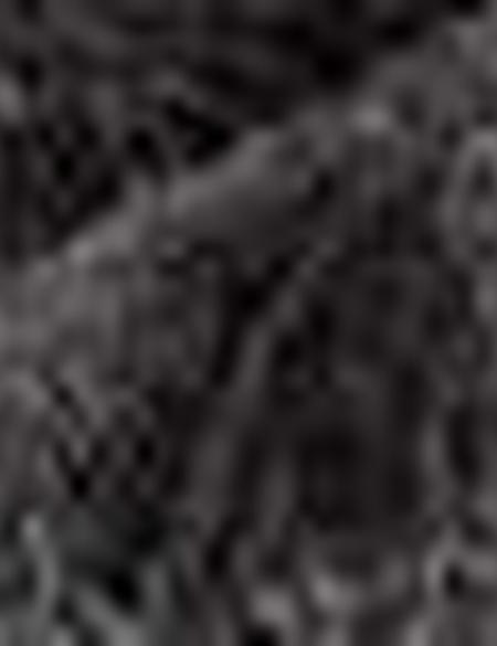 Gri Kaşkol - 50205340002