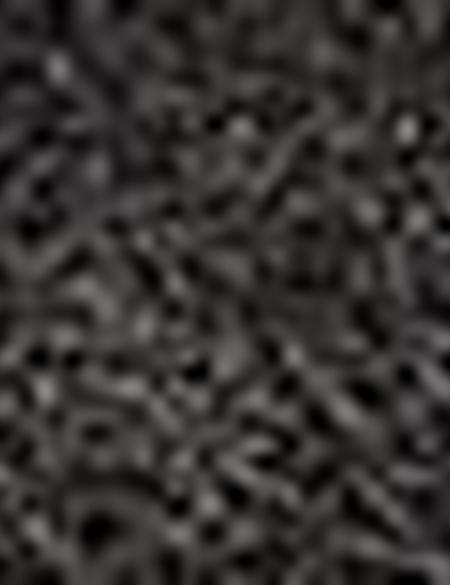 Siyah Kaşkol - 50205368001