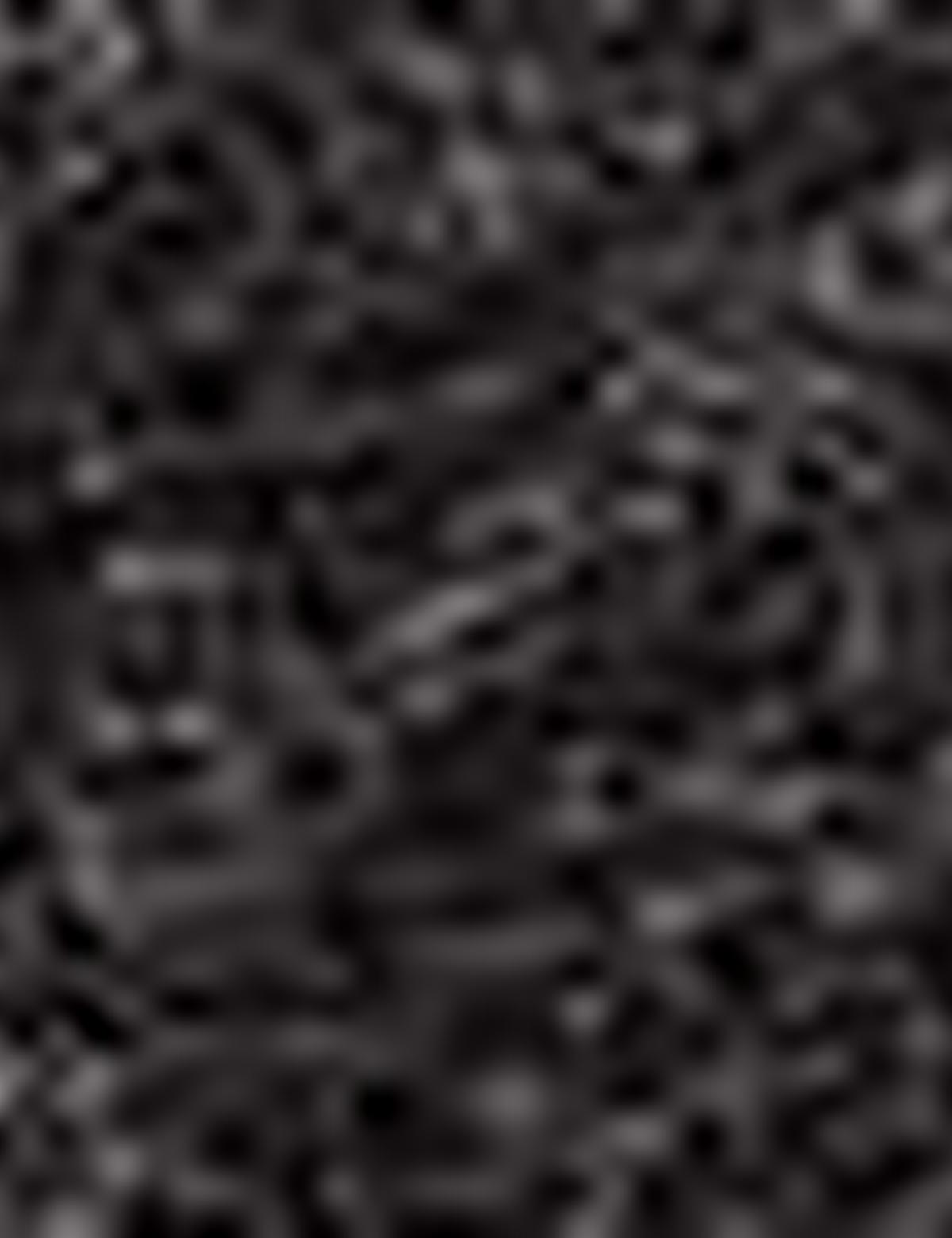 Siyah Kaşkol - 50205370002