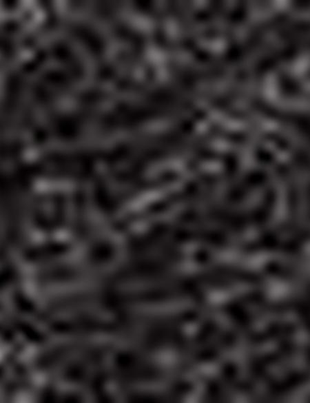 Siyah Kaşkol - 50205370002