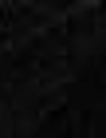 Lacivert Kaşkol - 50205372002