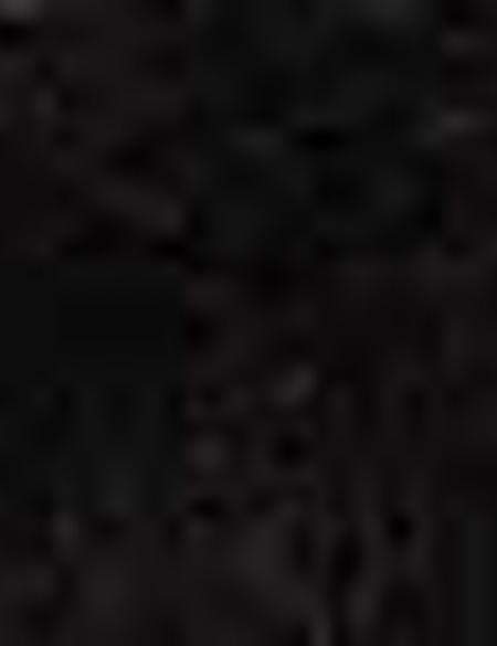 Kahverengi Kaşkol - 50205370003