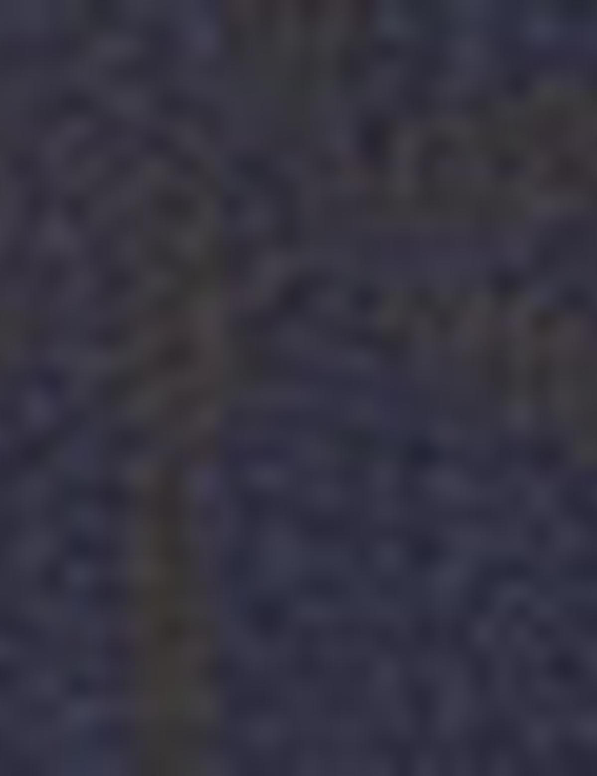 Lacivert Slim Fit Kısa Kollu Gömlek - 50205408019