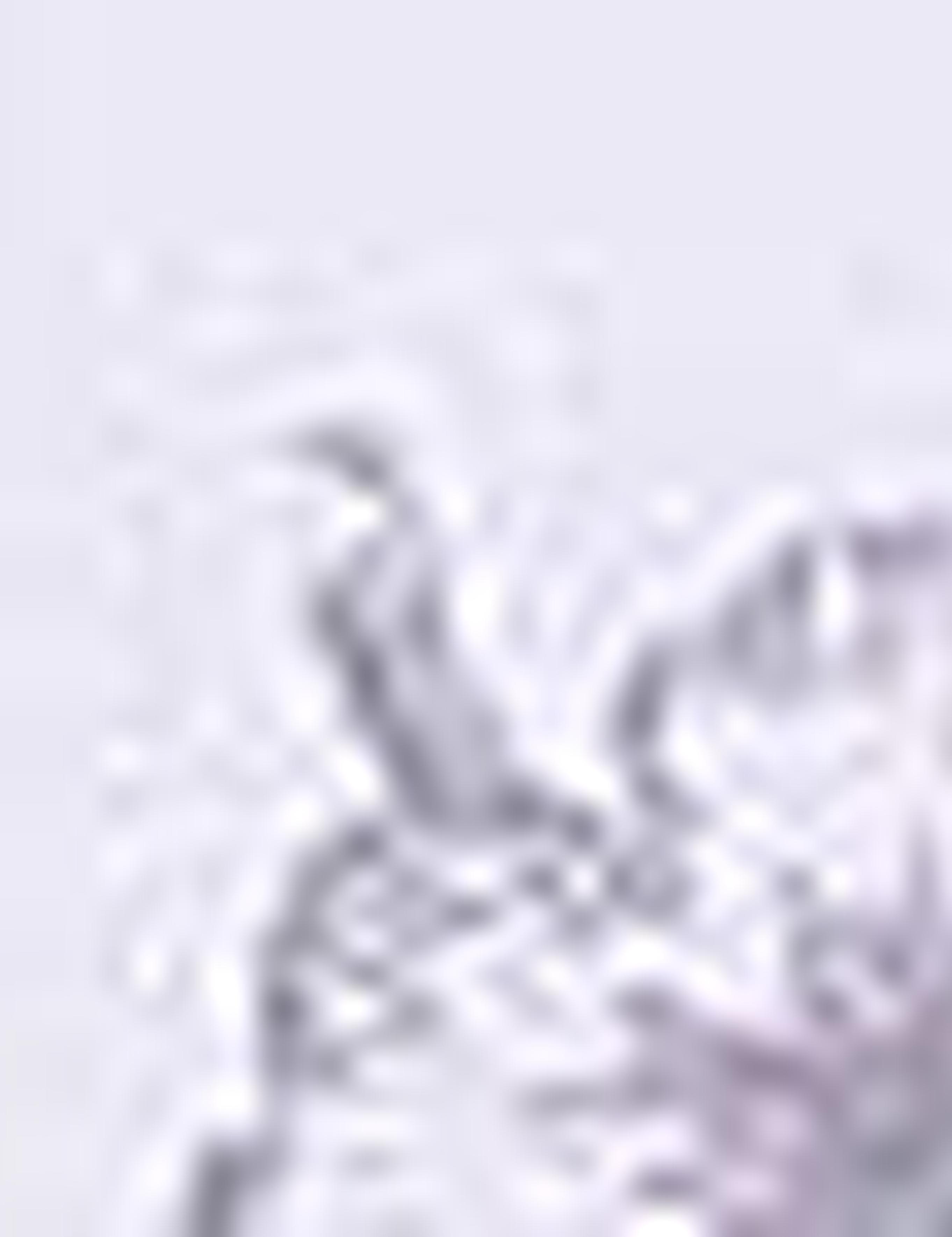 Gri Slim Fit Tişört