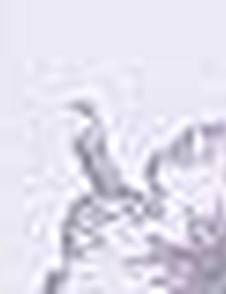 Gri Slim Fit Tişört - 50205617001