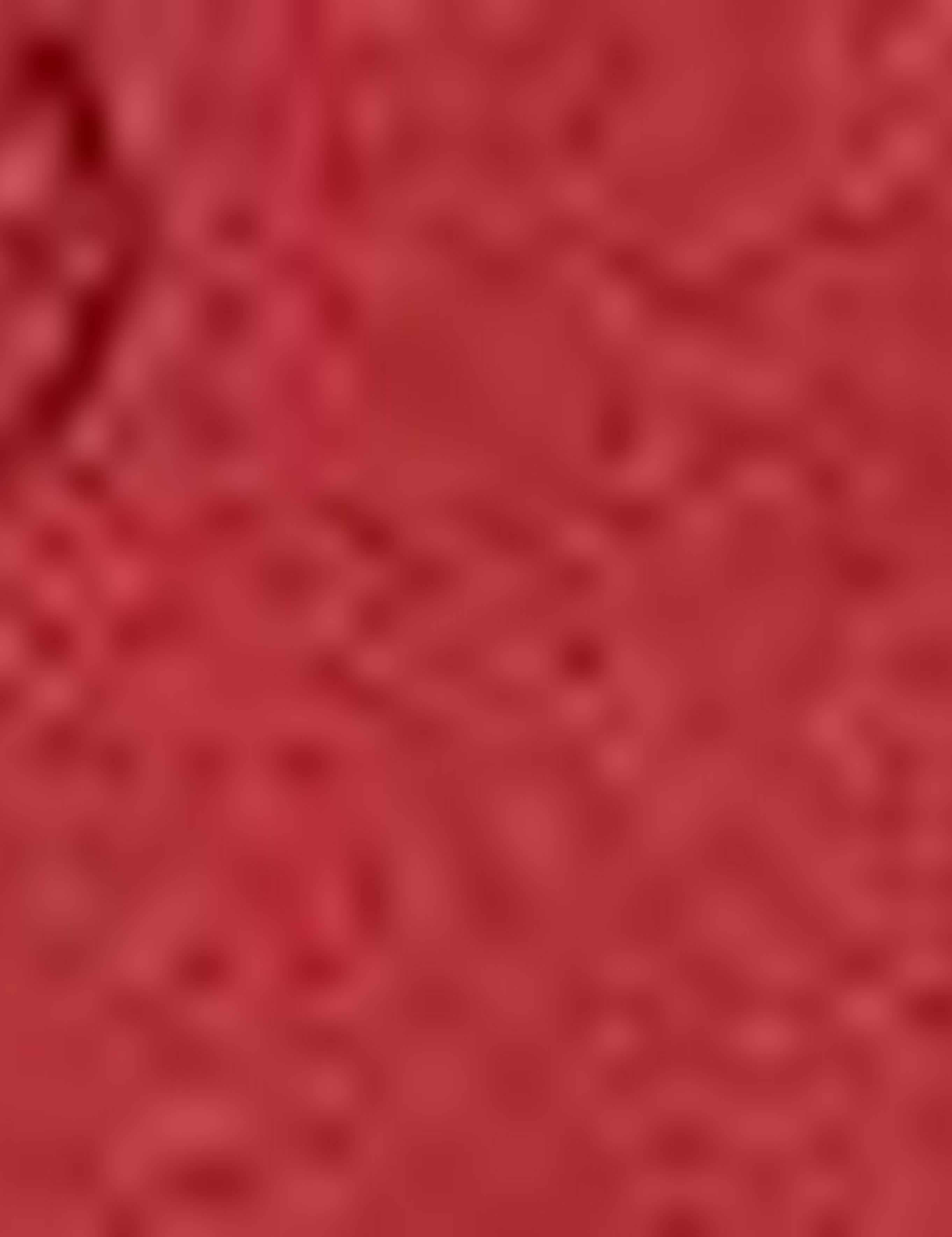 Kiremit Slim Fit Tişört