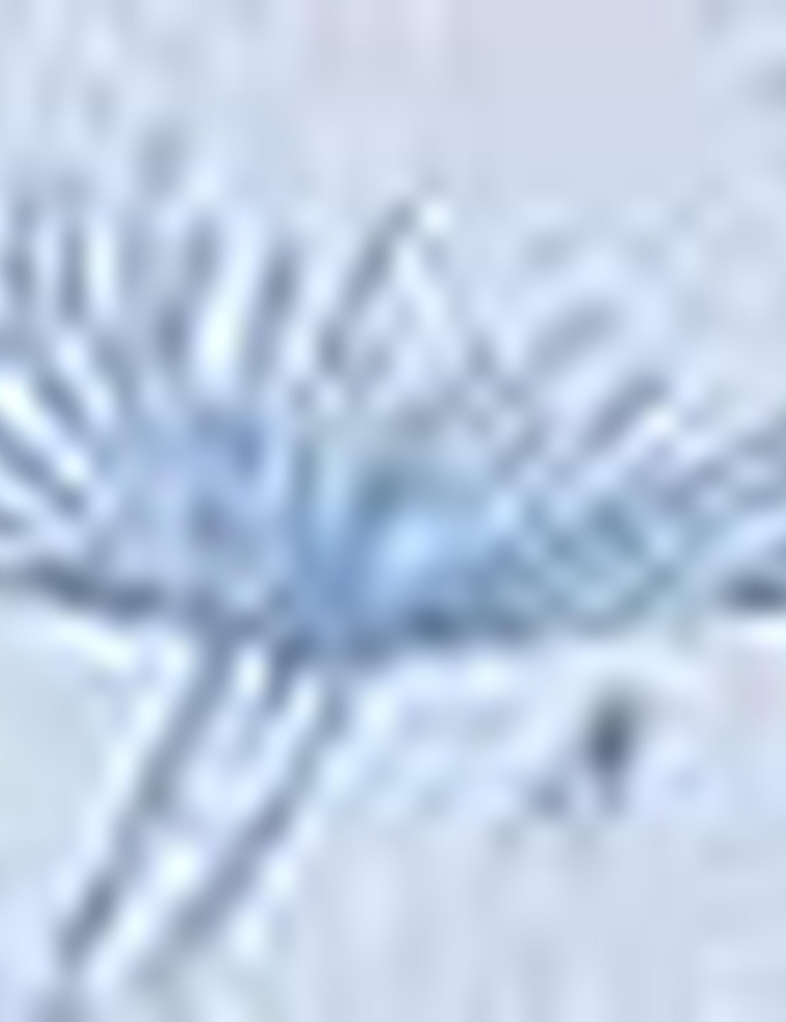 Mavi Slim Fit Tişört