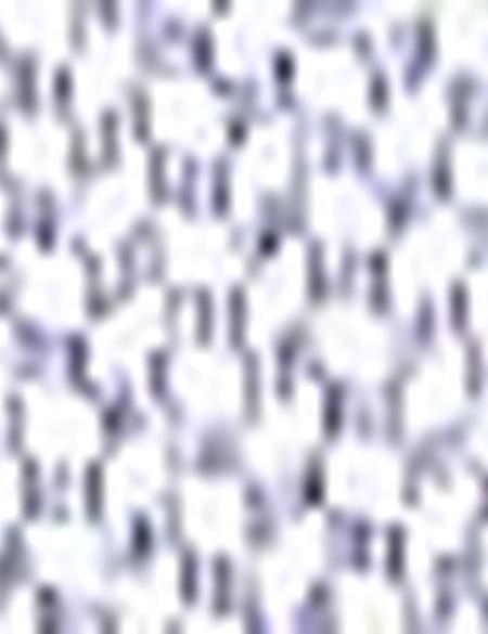 Lacivert Slim Fit Polo Yaka T-Shirt - 50205618005