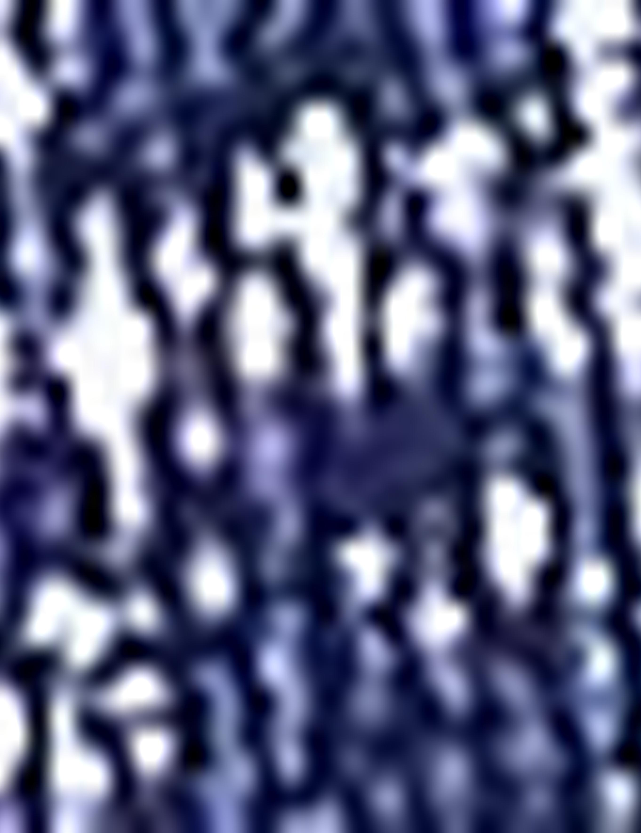 Lacivert Slim Fit Polo Yaka T-Shirt