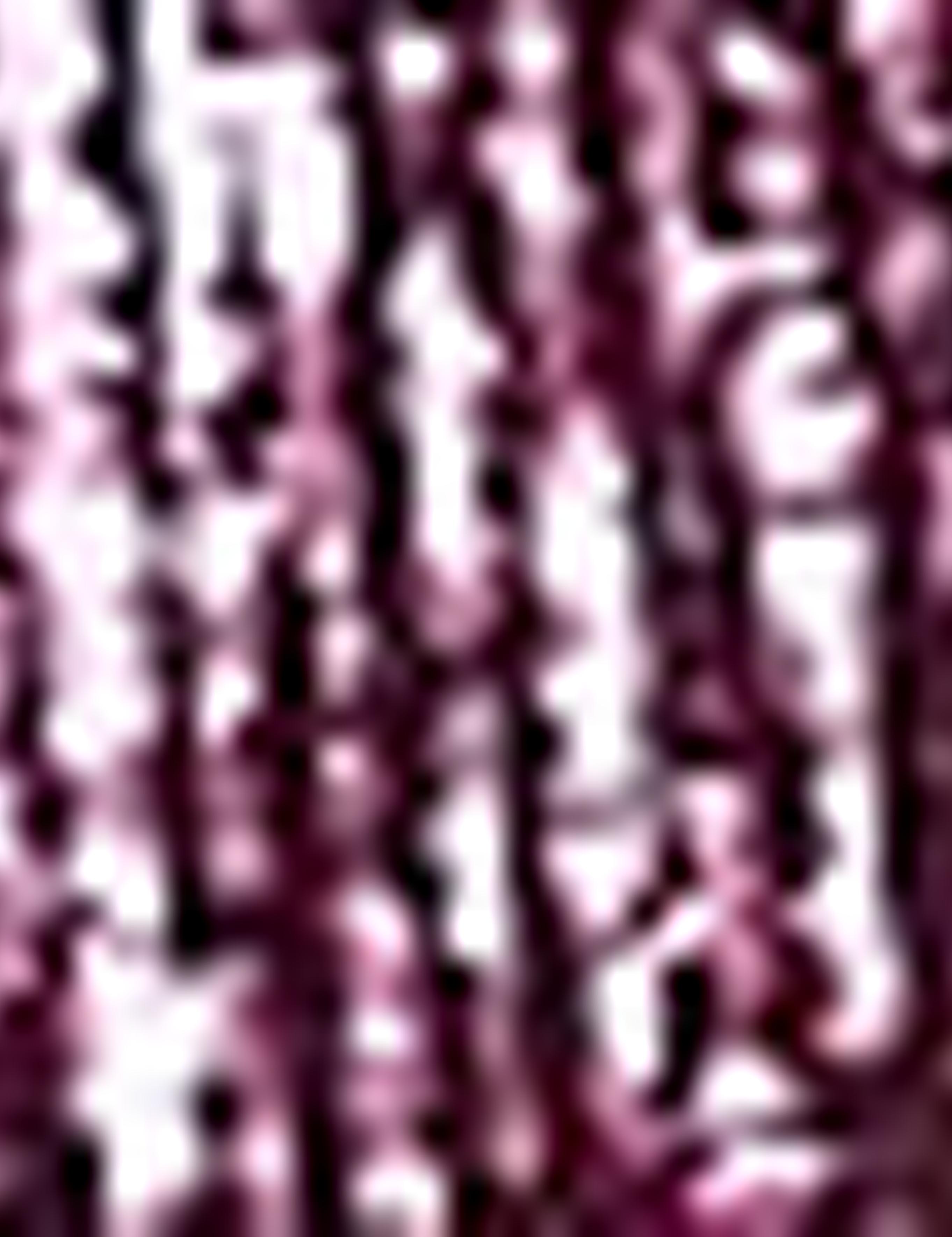 Bordo Slim Fit Tişört