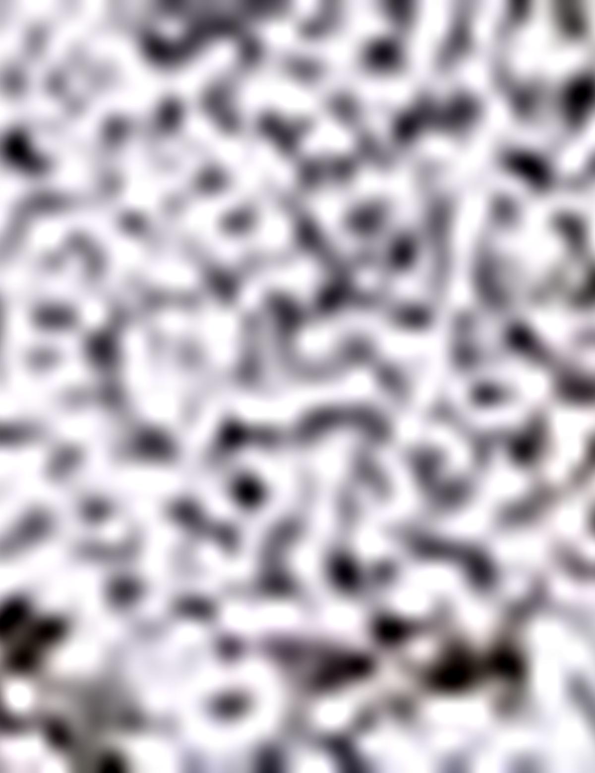 Yeşil Slim Fit Polo Yaka T-Shirt - 50205620016