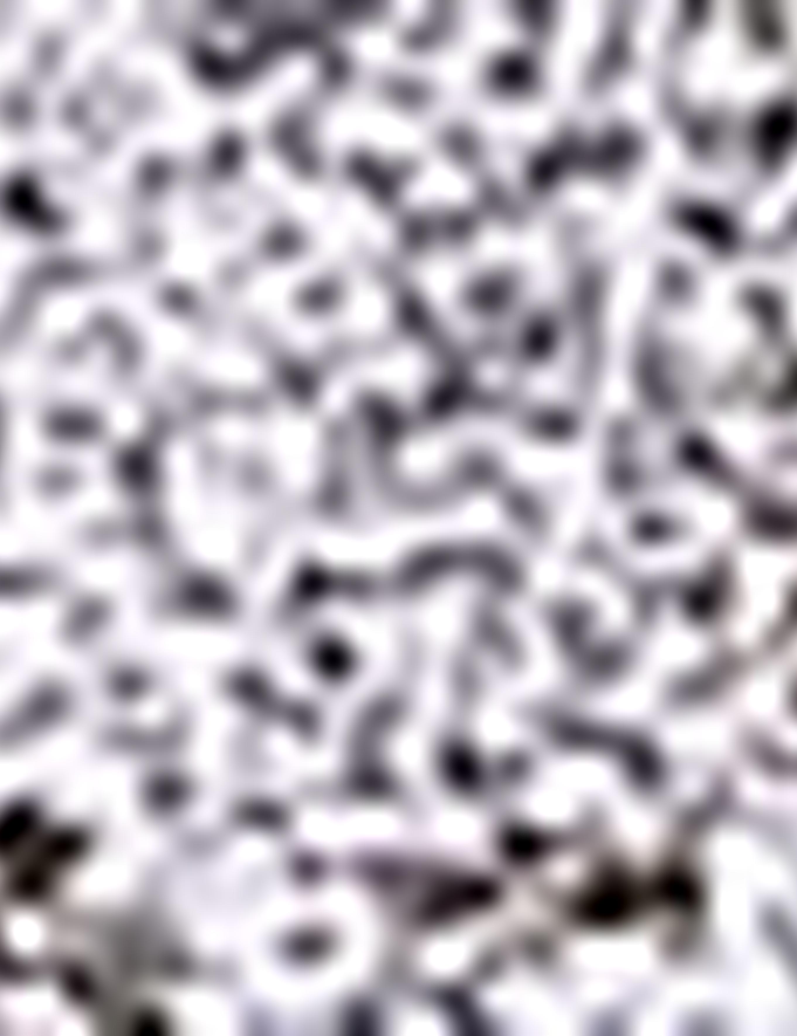 Yeşil Slim Fit Polo Yaka T-Shirt