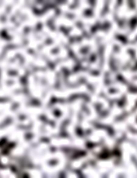 Yeşil Slim Fit Polo Yaka T-Shirt - 50205620016