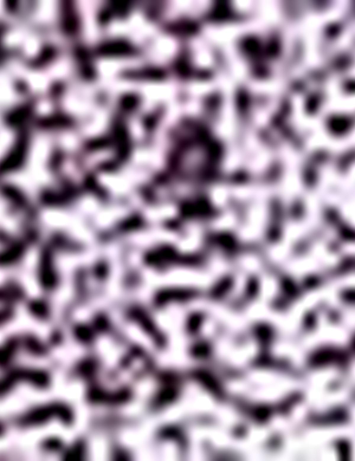 Bordo Slim Fit Polo Yaka T-Shirt - 50205620021