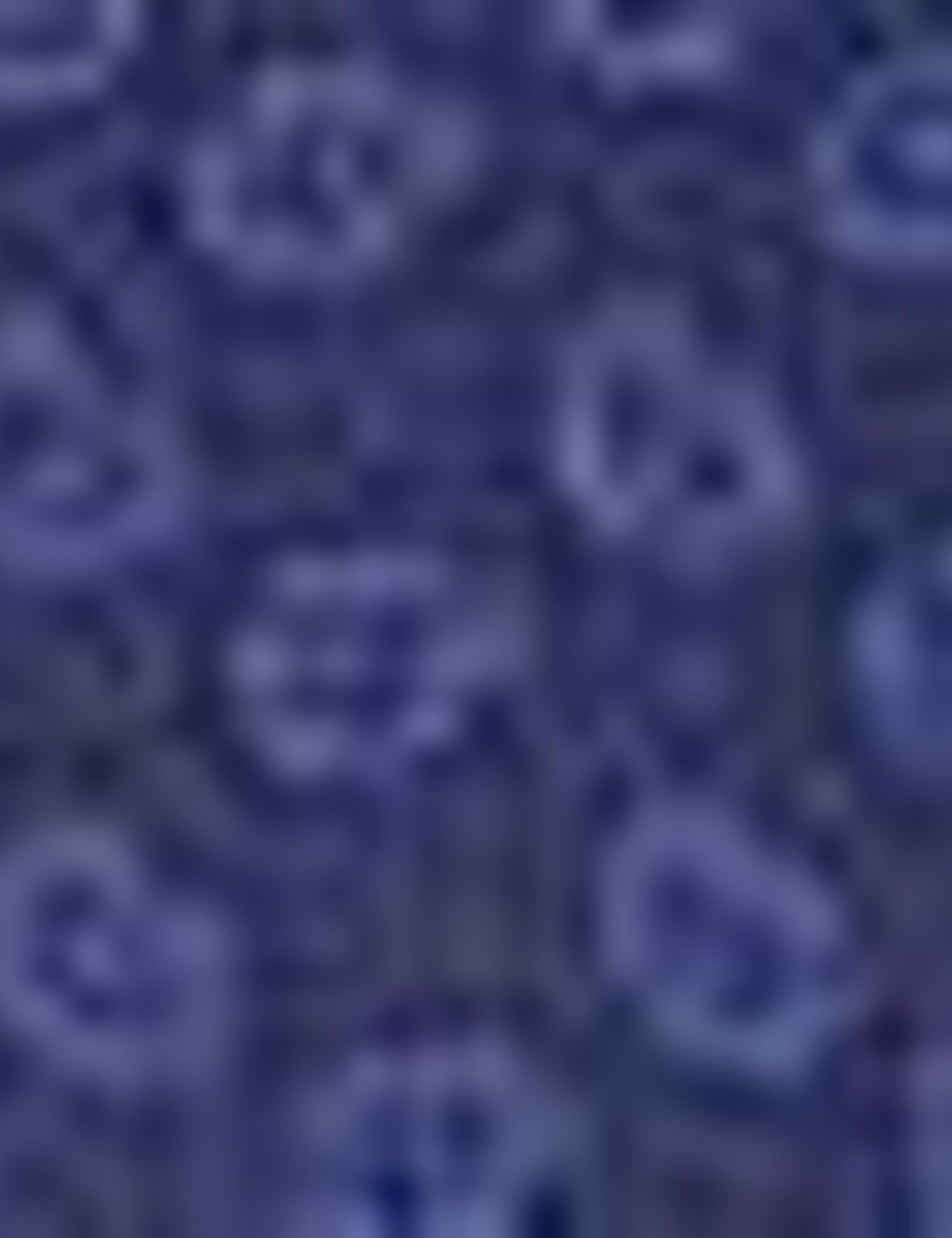 Lacivert Slim Fit Kısa Kollu Gömlek