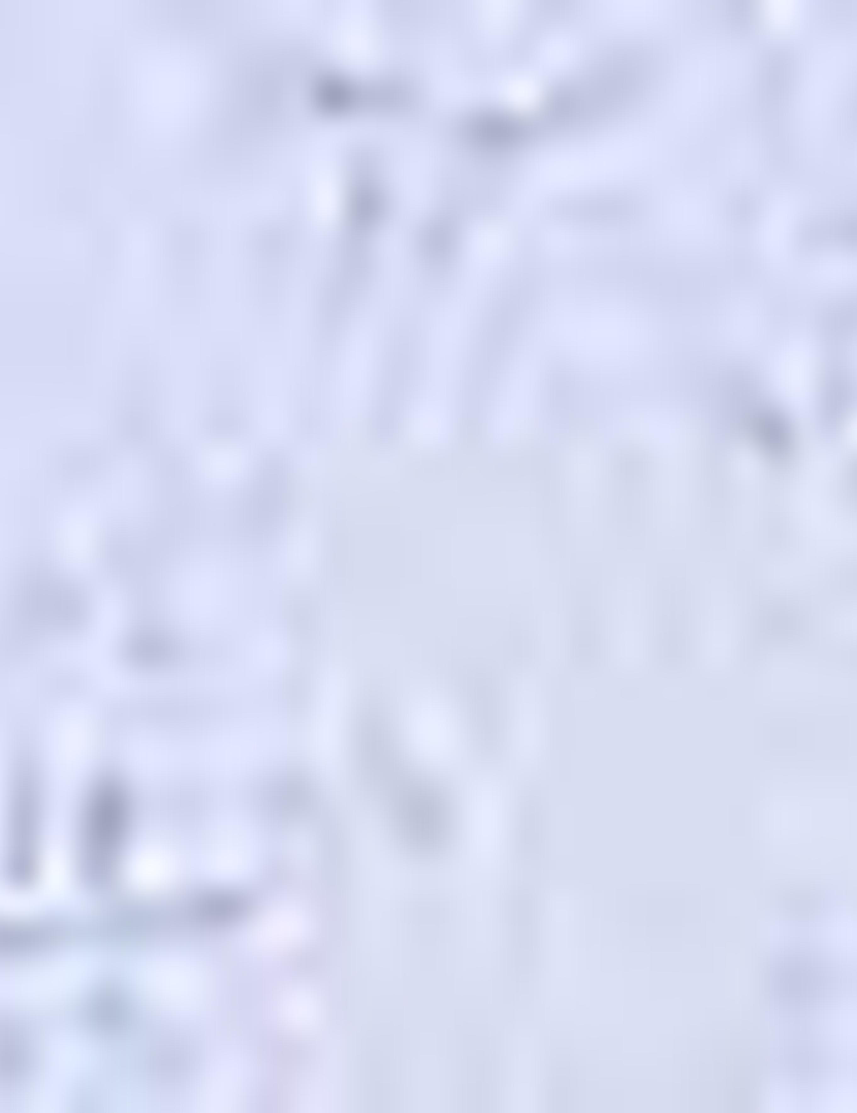 Mavi Slim Fit Gömlek