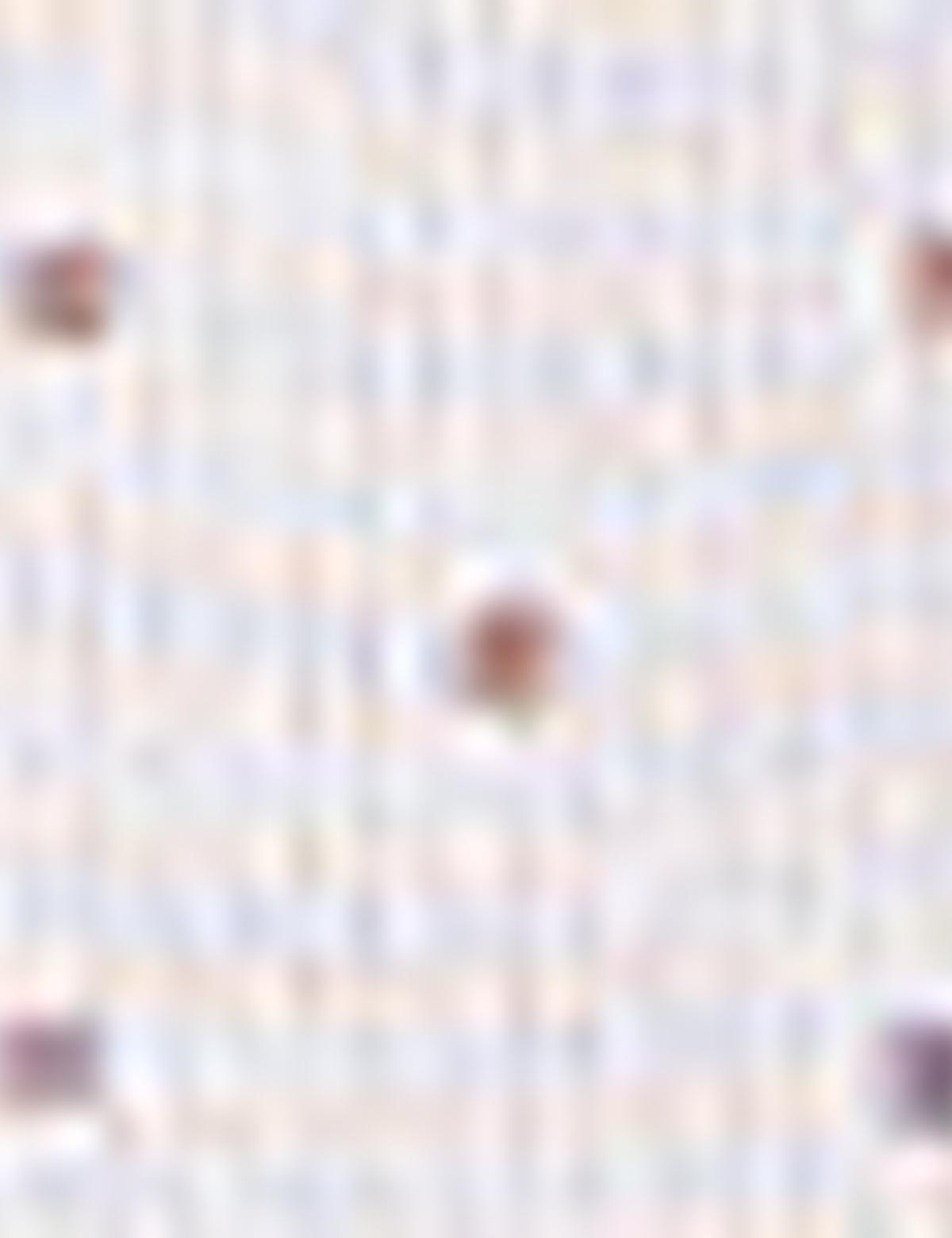 Bordo Slim Fit Gömlek - 50205888022