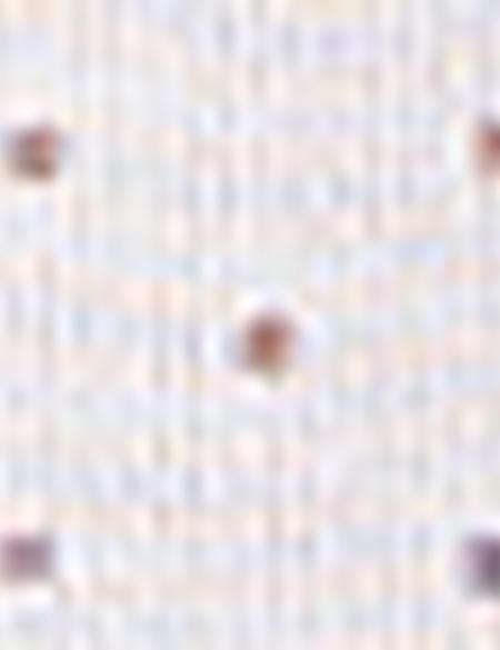 Bordo Slim Fit Gömlek - 50205888022