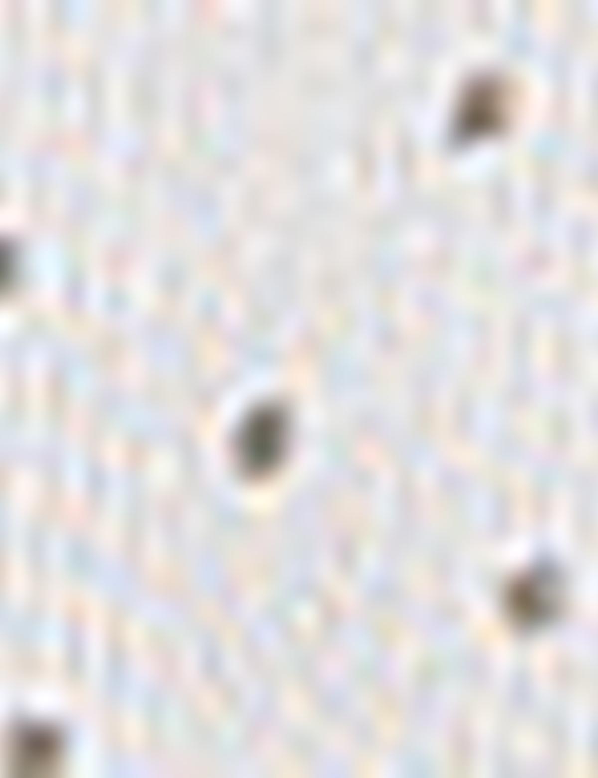 Yeşil Slim Fit Gömlek - 50205888013