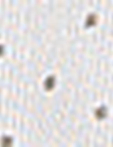 Yeşil Slim Fit Gömlek - 50205888013