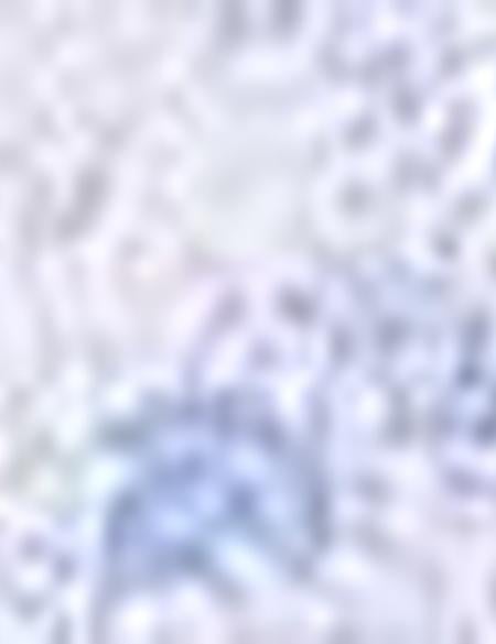 Mavi Slim Fit Uzun Kollu Gömlek - 50205896008