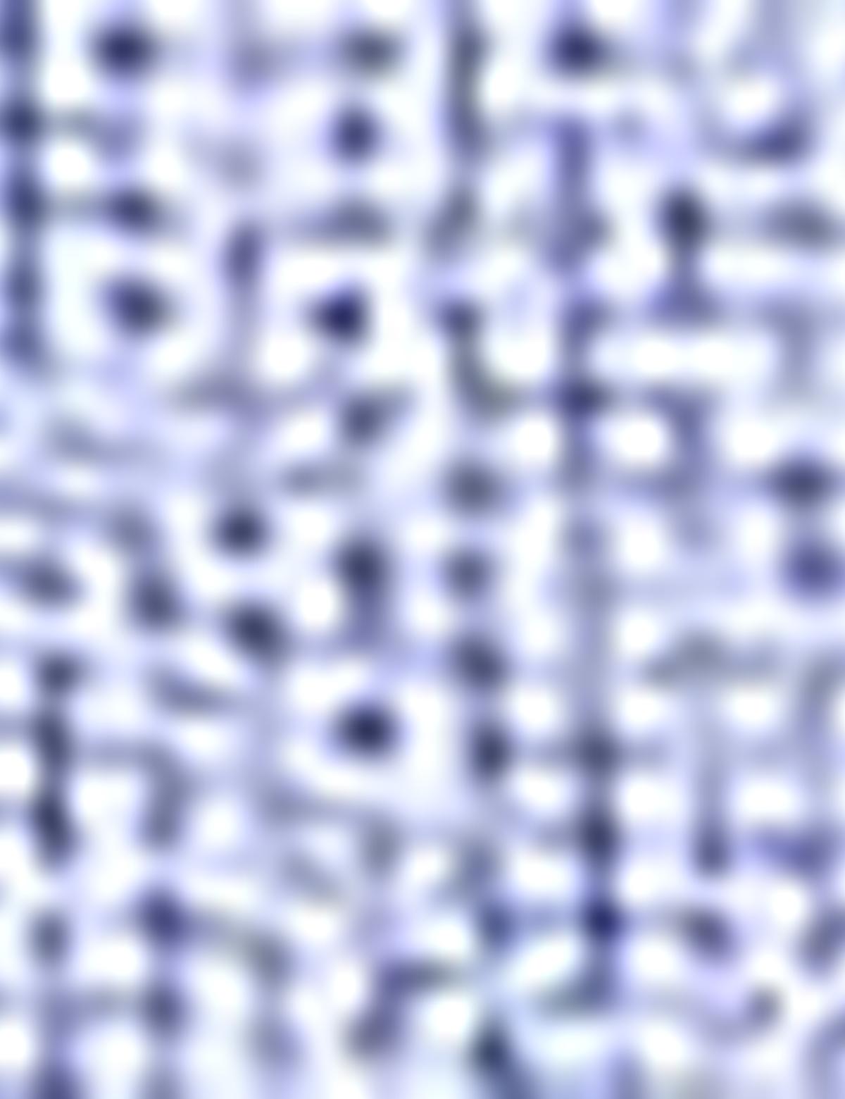 Mavi Slim Fit Uzun Kollu Gömlek - 50205897007