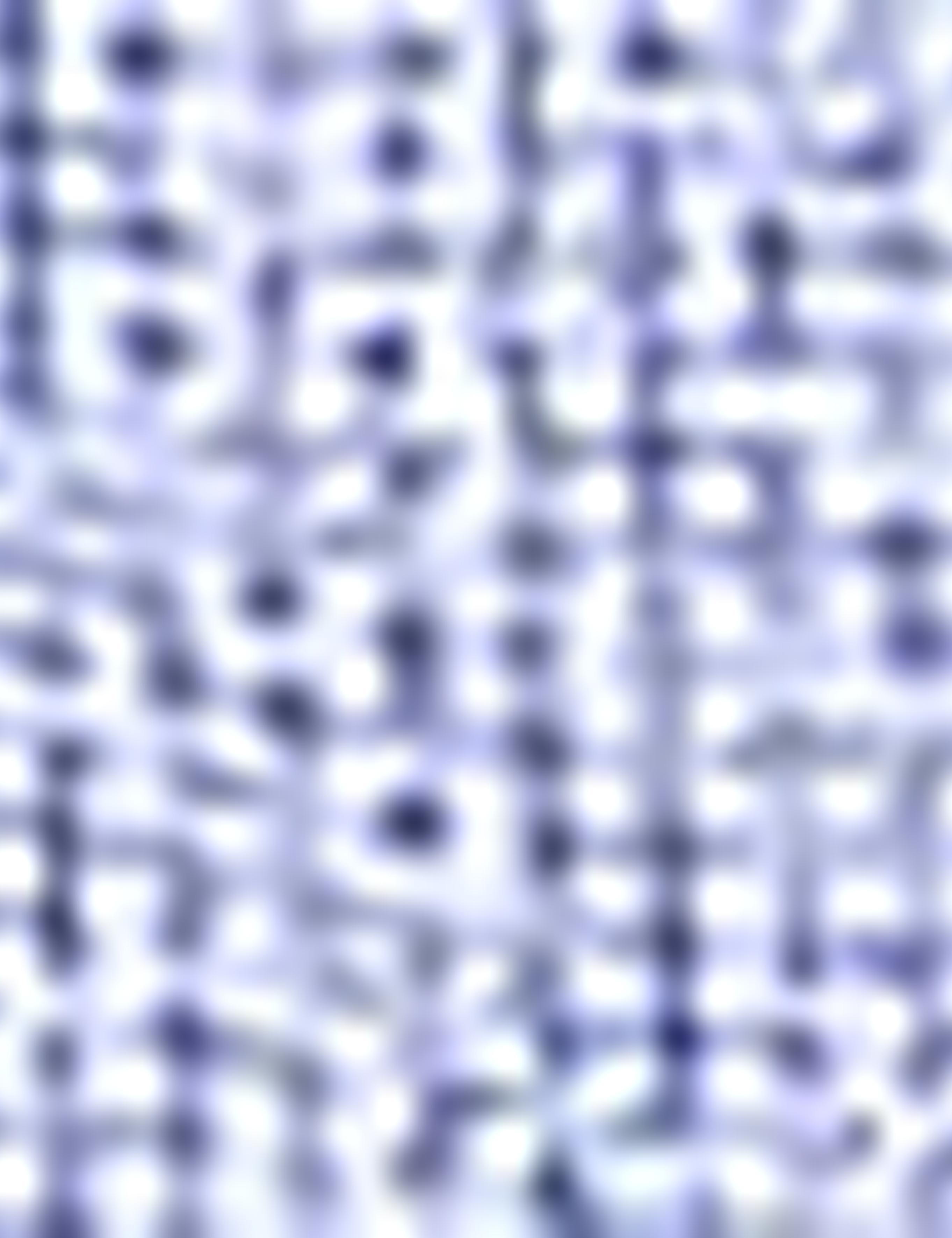 Mavi Slim Fit Uzun Kollu Gömlek