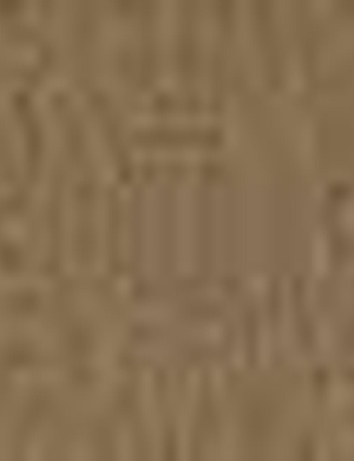 Haki Taş Detaylı Bluz - 50206055006