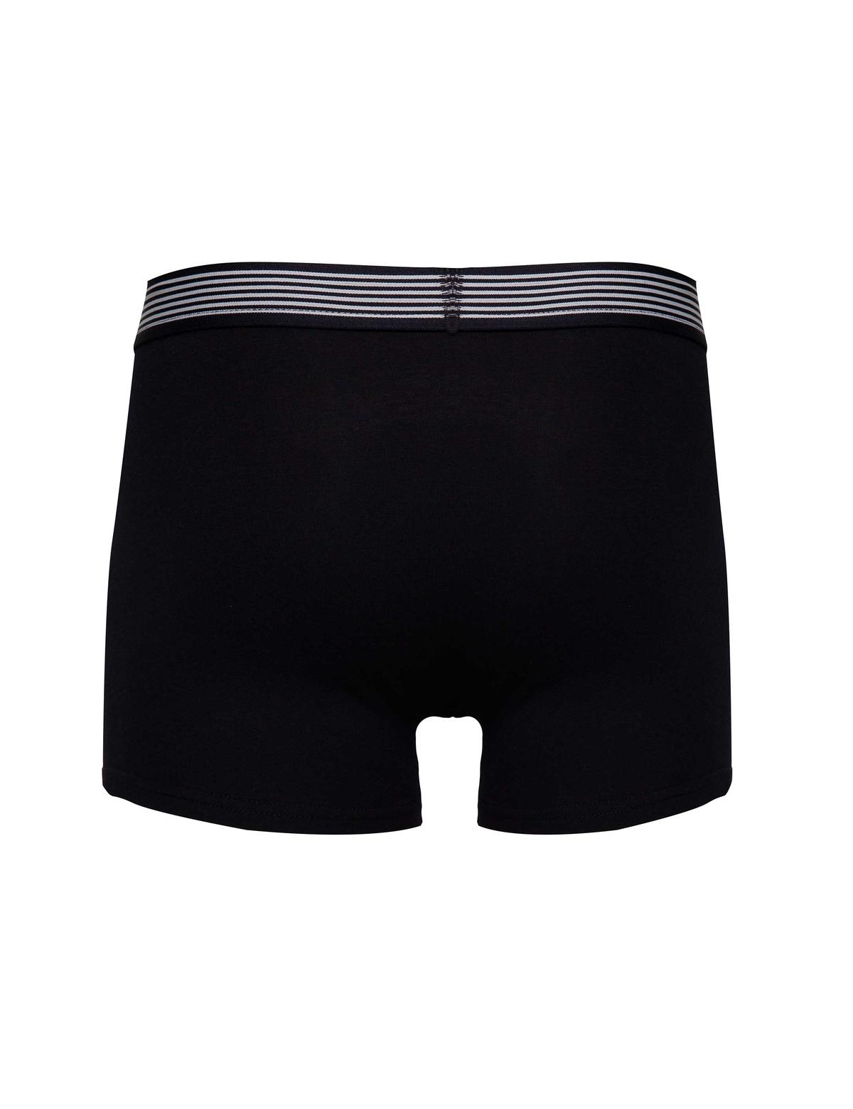 Renkli 3'lü Boxer - 50241839001