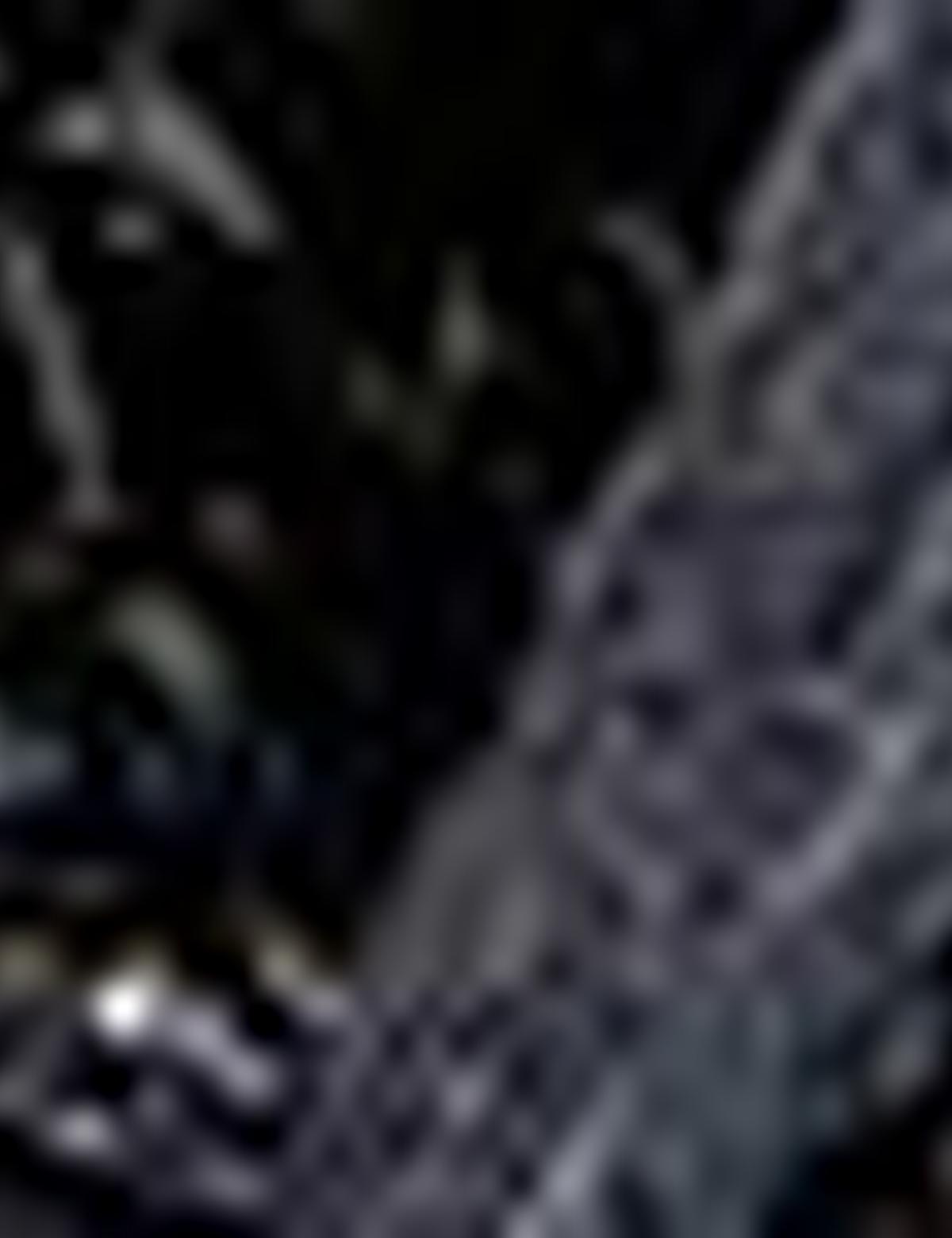 Siyah Ayakkabı - 50209258001