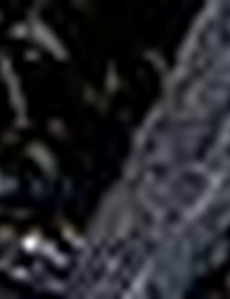 Siyah Ayakkabı - 50209258001