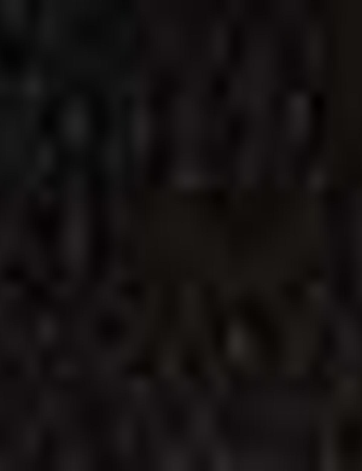 Siyah Ayakkabı - 50209341007