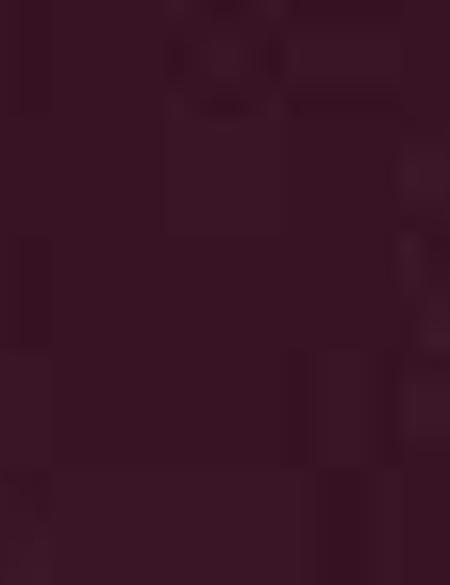 Bordo Slim Fit Polo Yaka T-Shirt - 50210220034