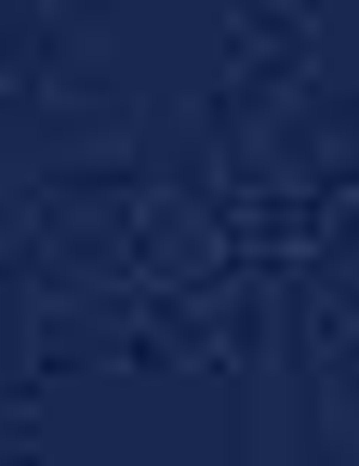 Lacivert Slim Fit Basic Tişört - 50210220044