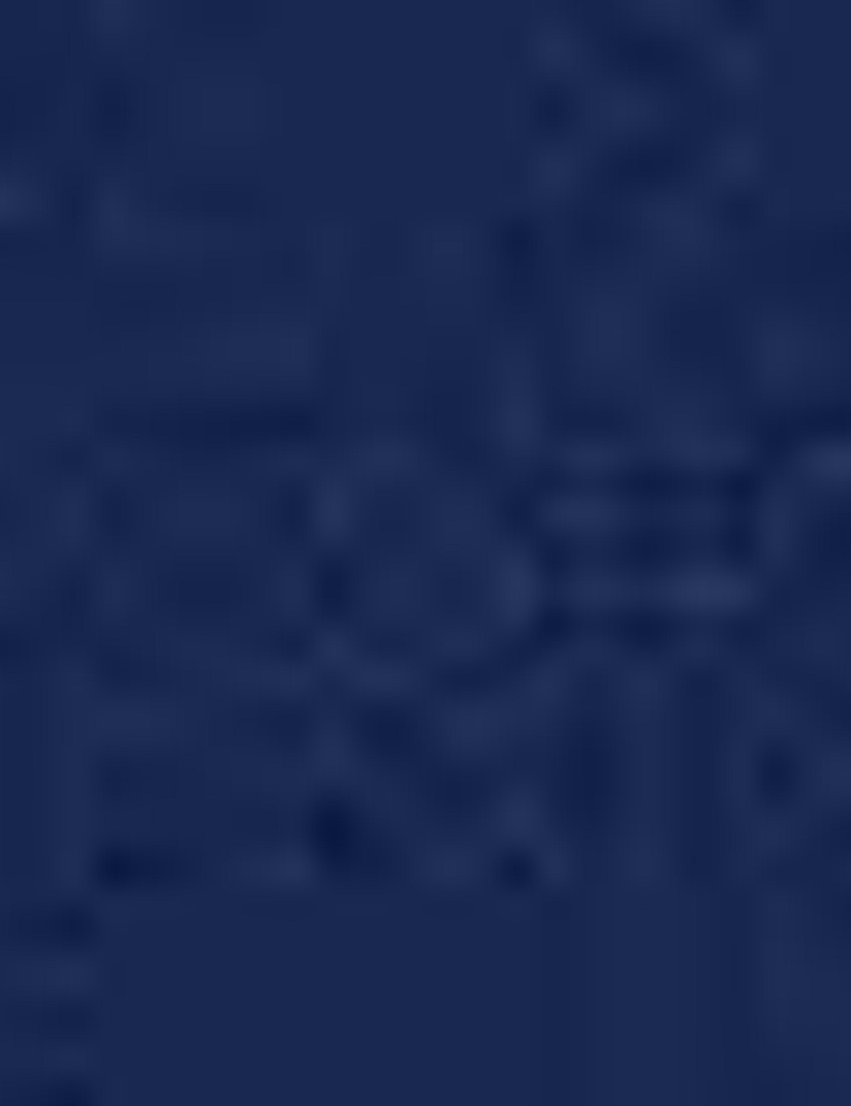 Lacivert Slim Fit Basic Tişört