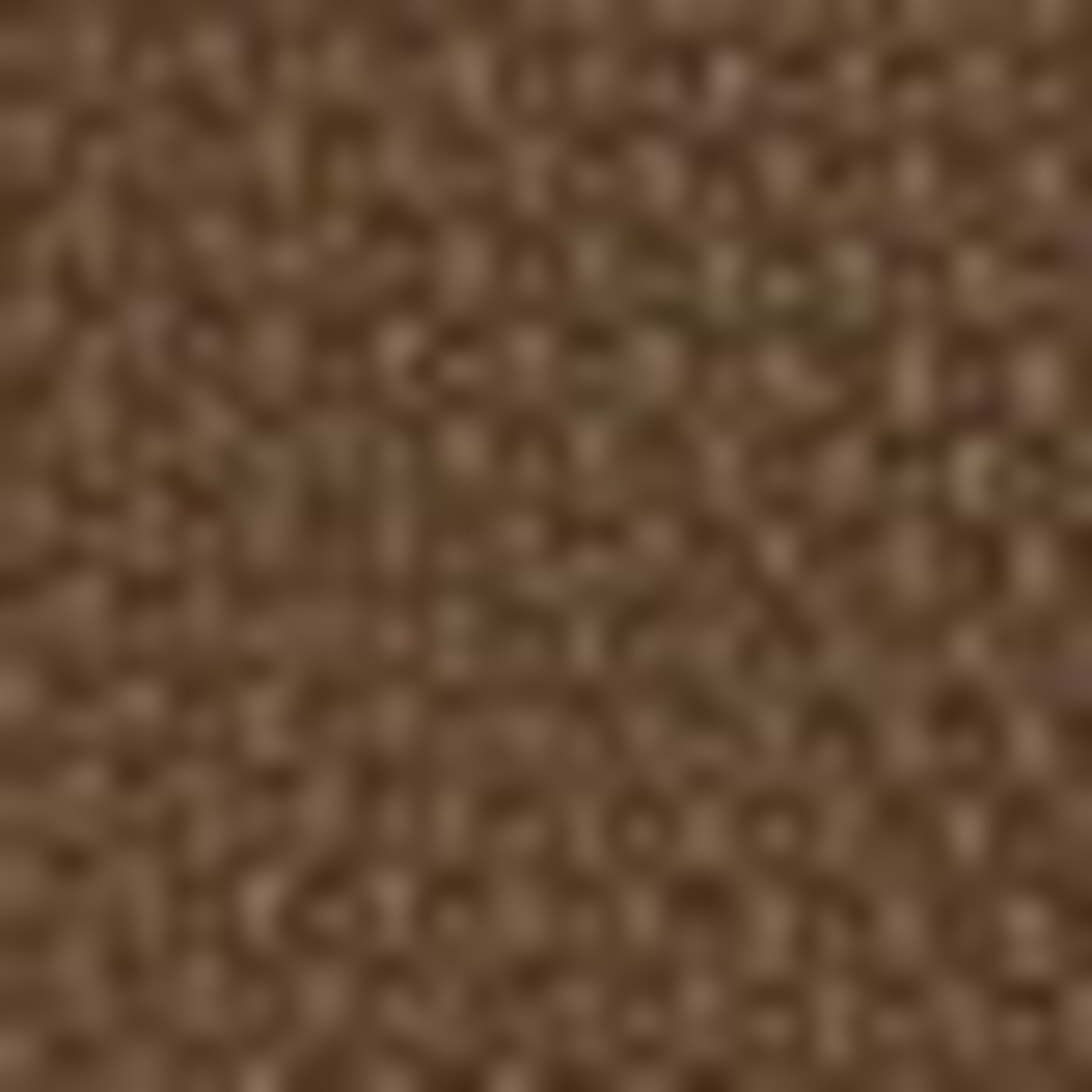 Camel Slim Fit Kanvas Pantolon - Image 5