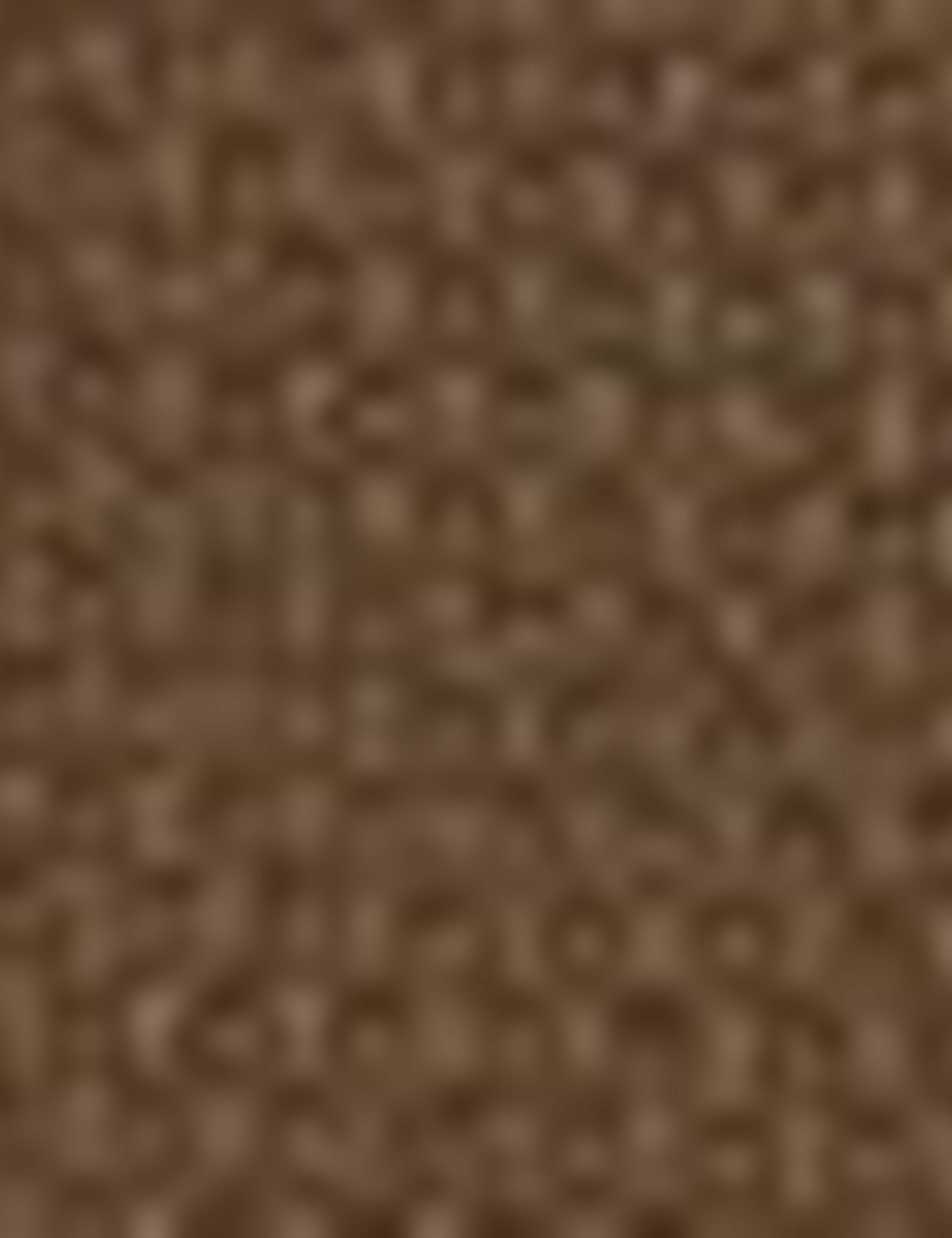 Camel Slim Fit Kanvas Pantolon