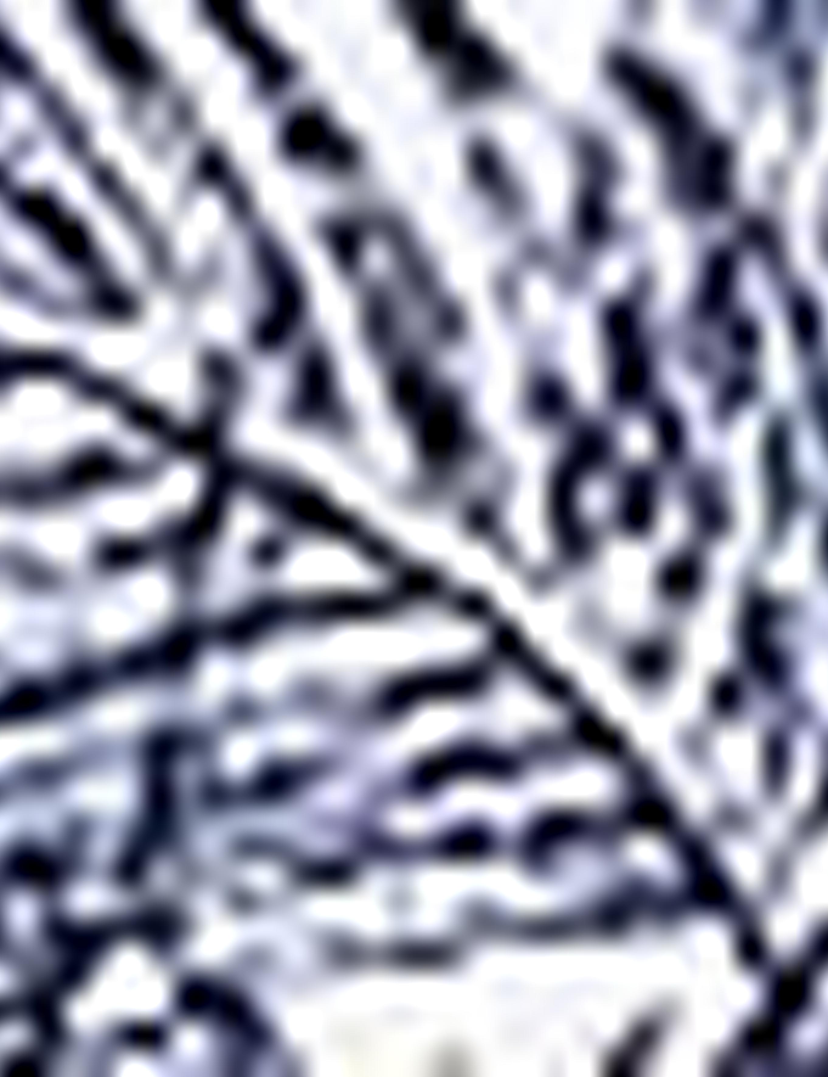 Lacivert Slim Fit Polo Yaka T-Shirt