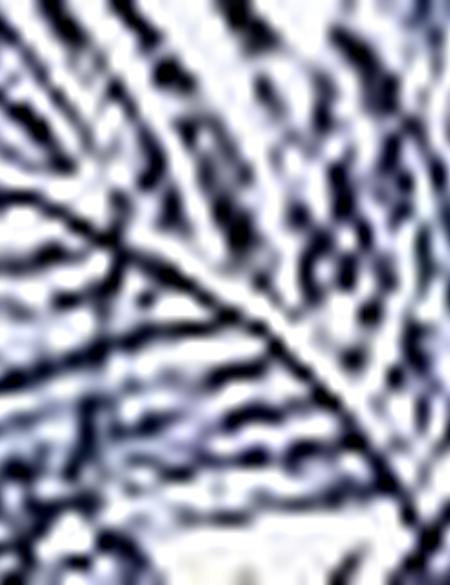 Lacivert Slim Fit Polo Yaka T-Shirt - 50210298007