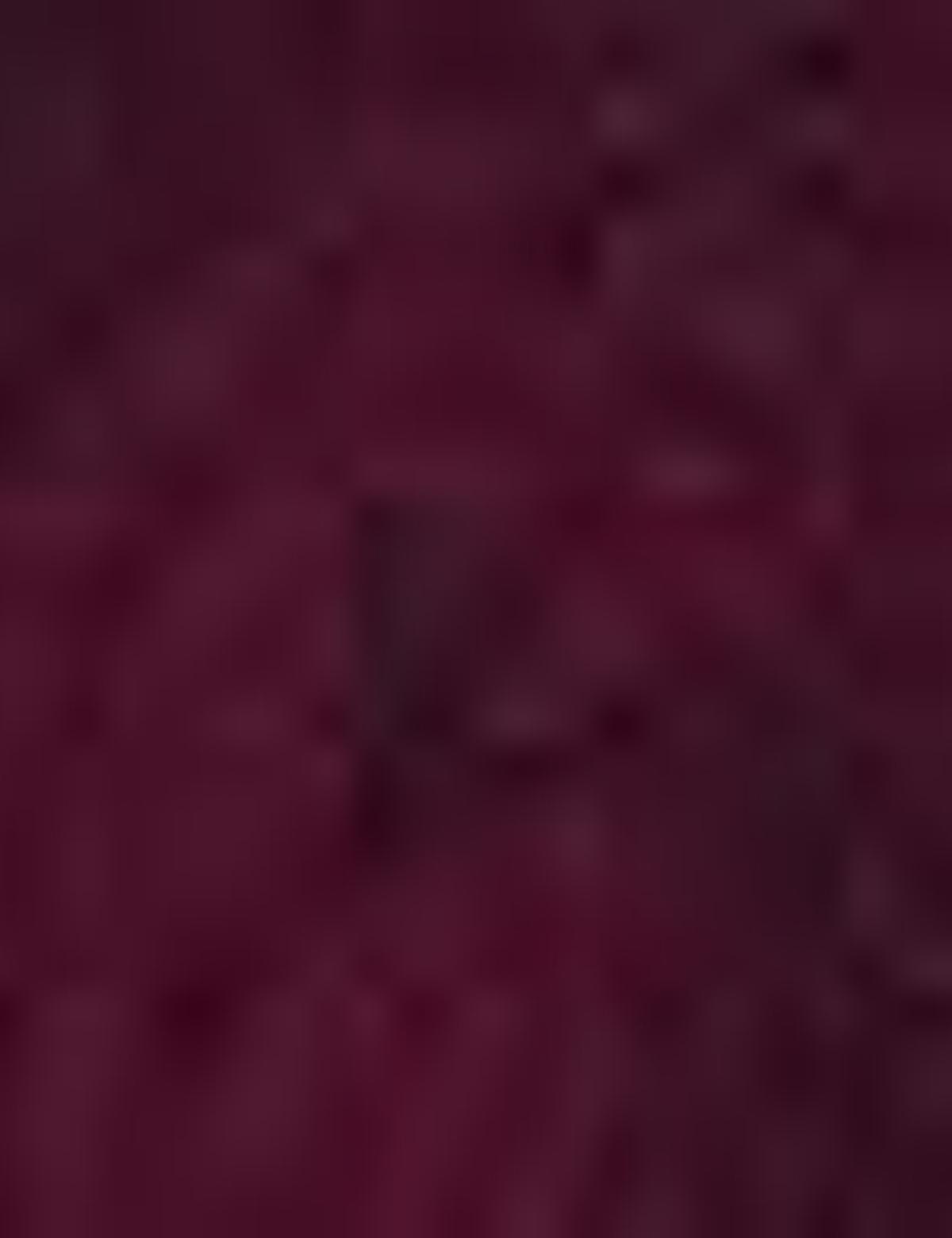 Bordo Slim Fit T-Shirt - 50210308010