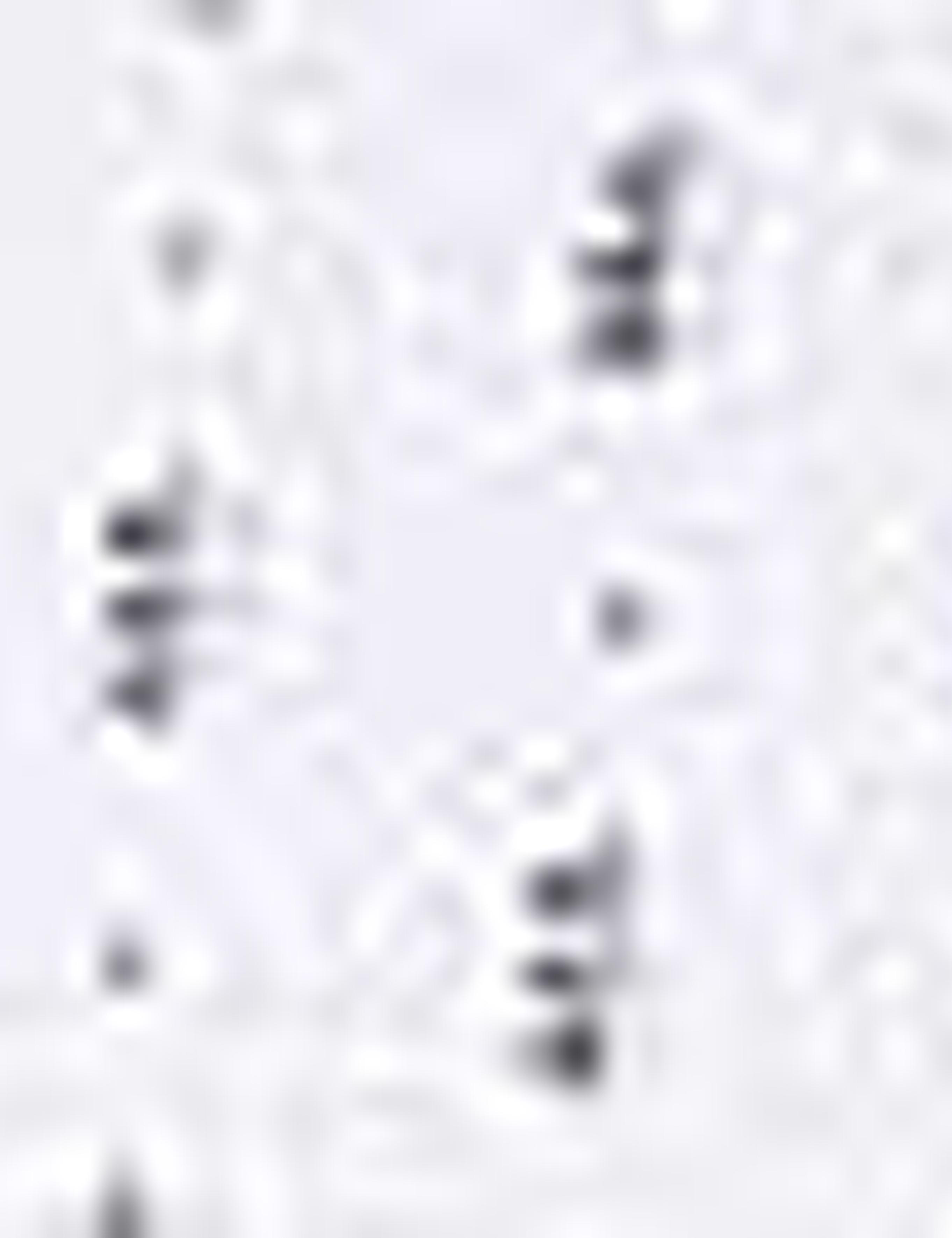 Lacivert Slim Fit T-Shirt