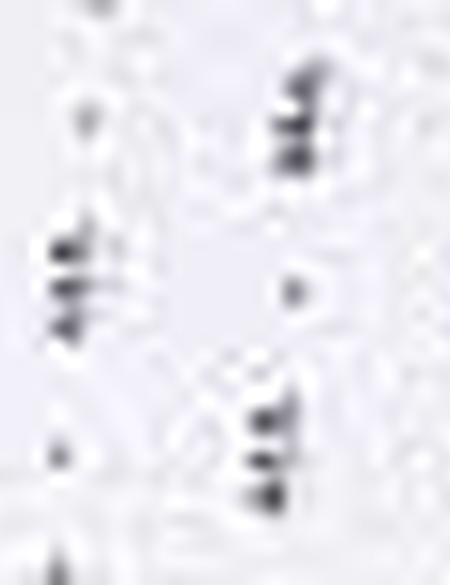 Lacivert Slim Fit T-Shirt - 50210319006