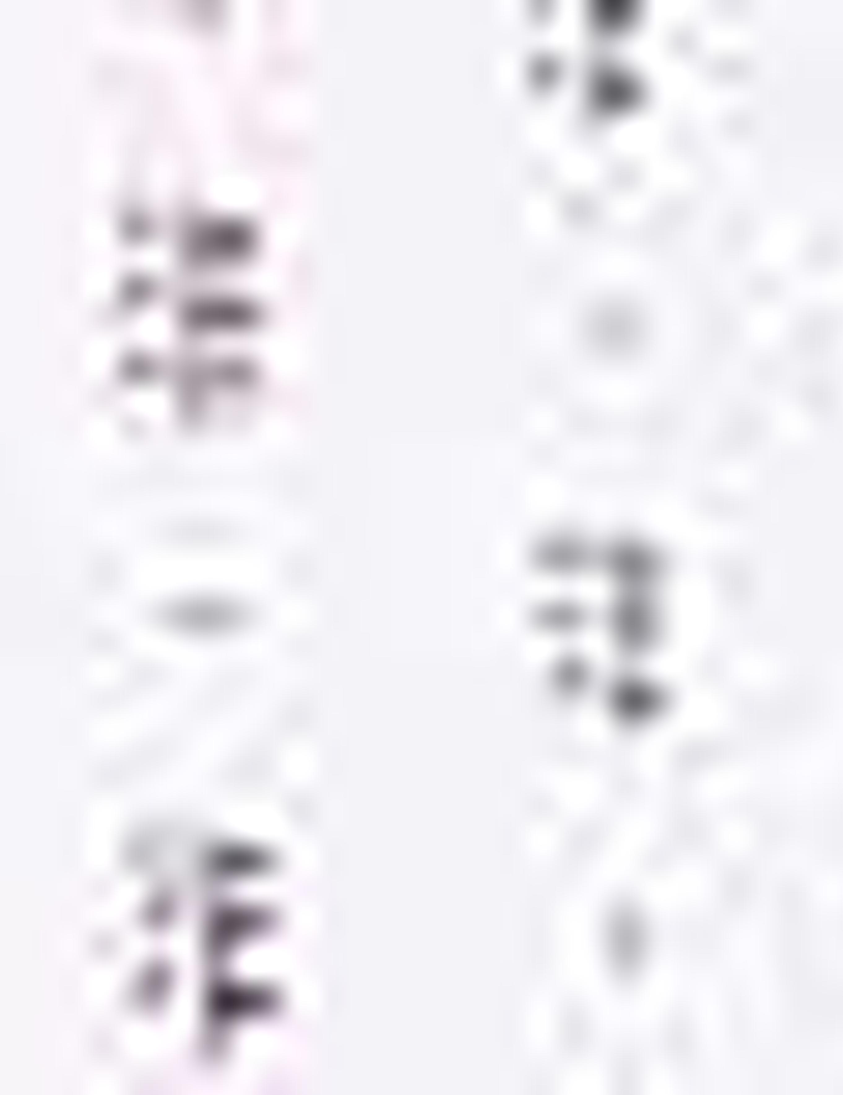 Bordo Slim Fit Tişört