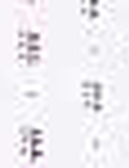 Bordo Slim Fit Tişört - 50210319015