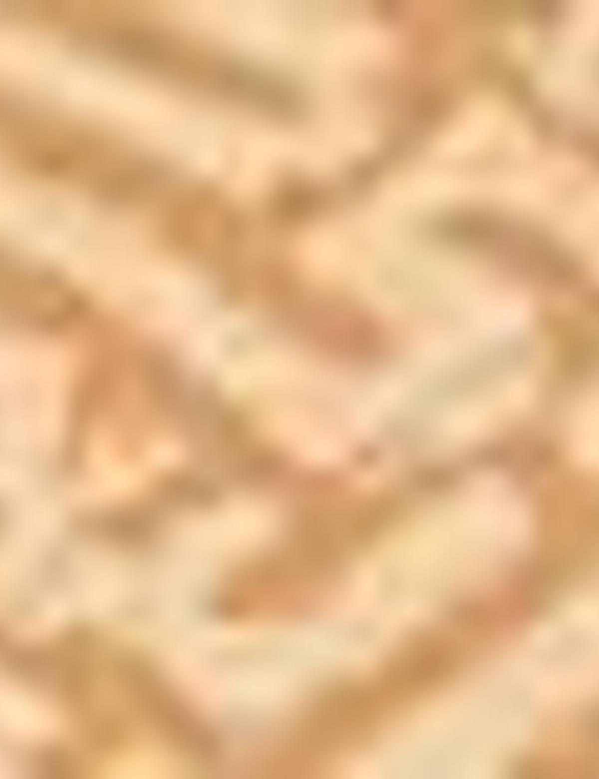 Safran Slim Fit T-Shirt - 50210323025