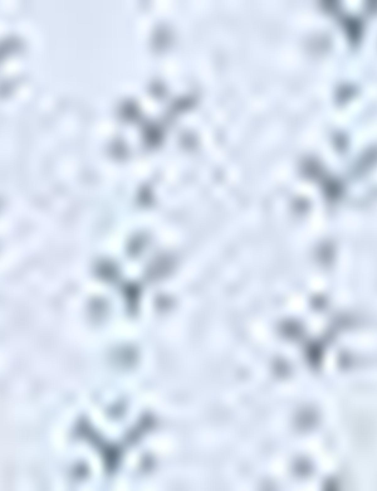 Açık Mavi Slim Fit Polo Yaka T-Shirt - 50210327005