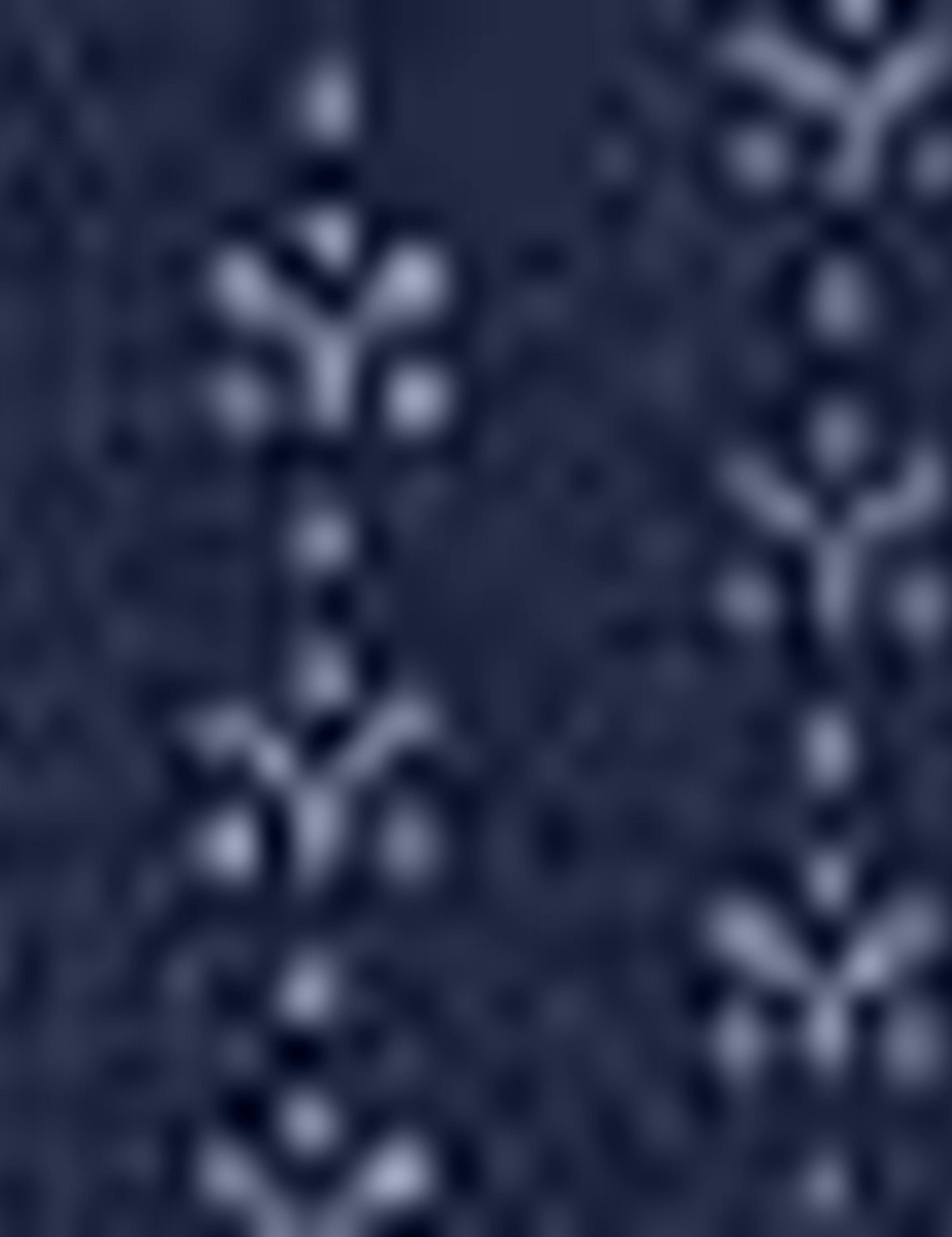 Lacivert Slim Fit T-Shirt